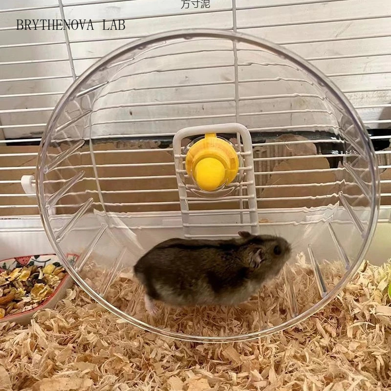 Hamster Cage Wheel - عجلة جري للهامستر مع حامل، كبيرة