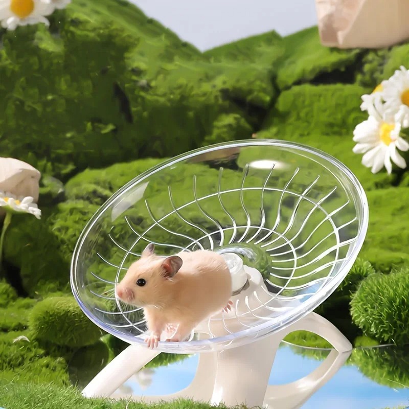 Hamster Cage Wheel - عجلة تمارين صامتة للحيوانات الصغيرة، مثالية