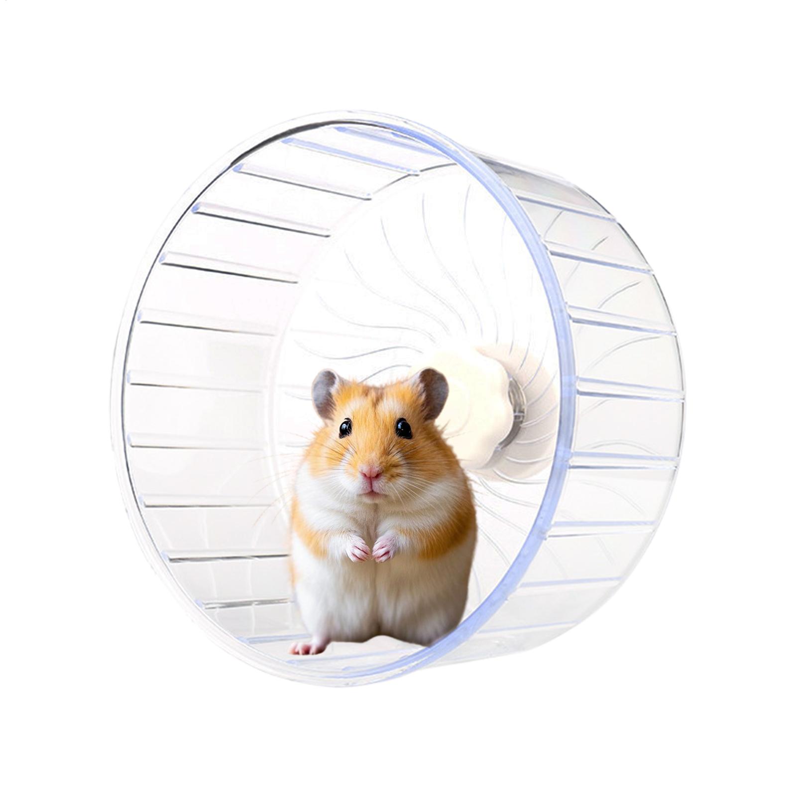 عجلة جري شفافة واسعة للهامستر، - مراجعة Hamster Cage Wheel وسعره