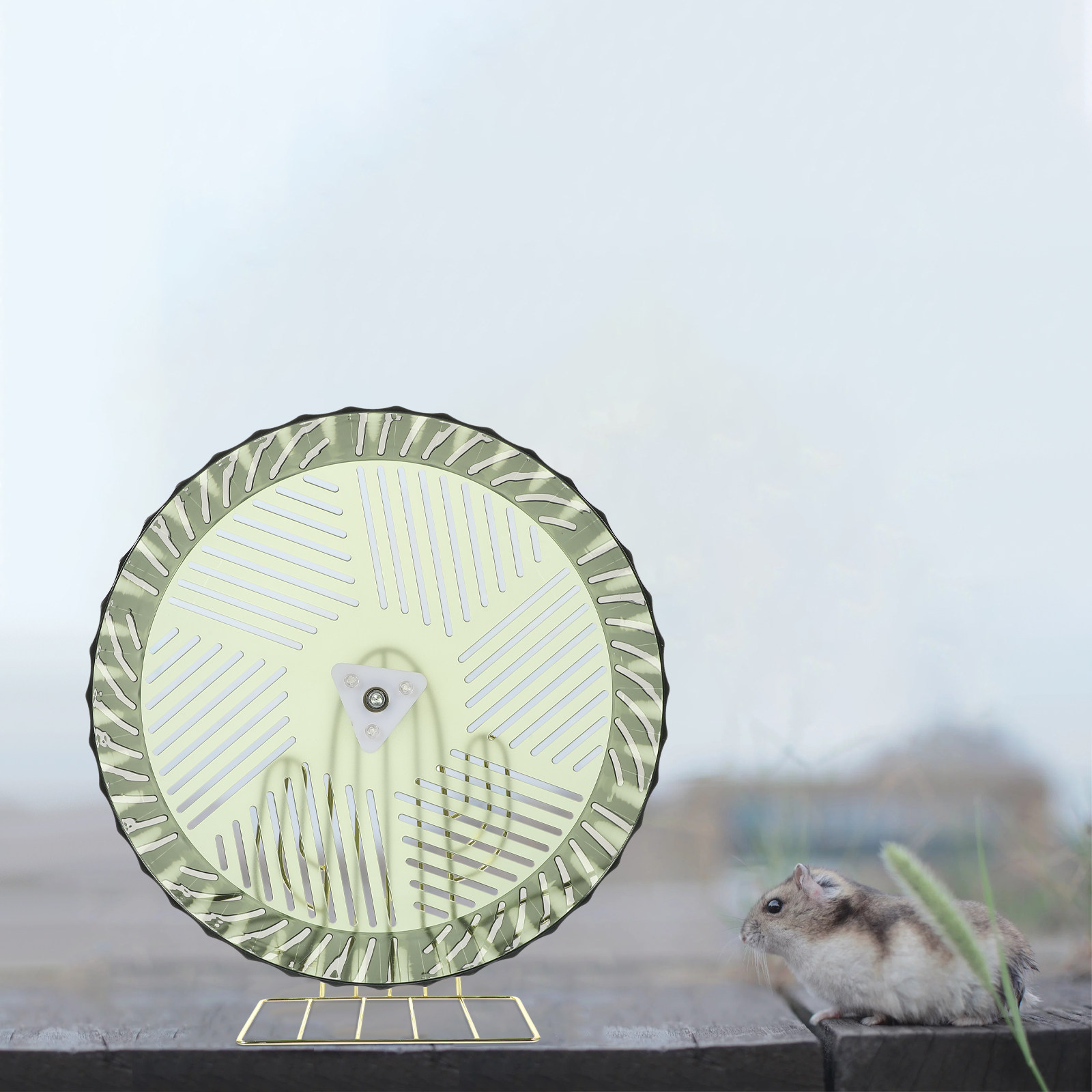 عجلة تمارين للهامستر لنمو صحي، - مراجعة Hamster Cage Wheel وسعره