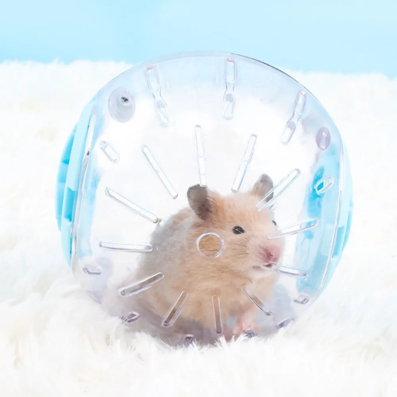 البلاستيك في الهواء الطلق الري - مراجعة Hamster Cage Wheel وسعره