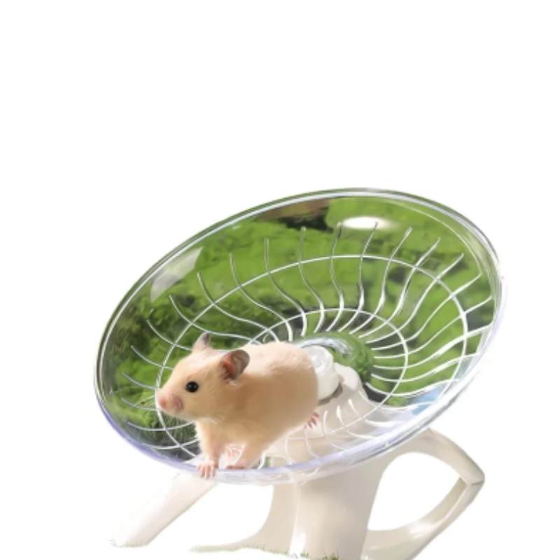 عجلة تمارين صامتة على شكل طبق  - مراجعة Hamster Cage Wheel وسعره