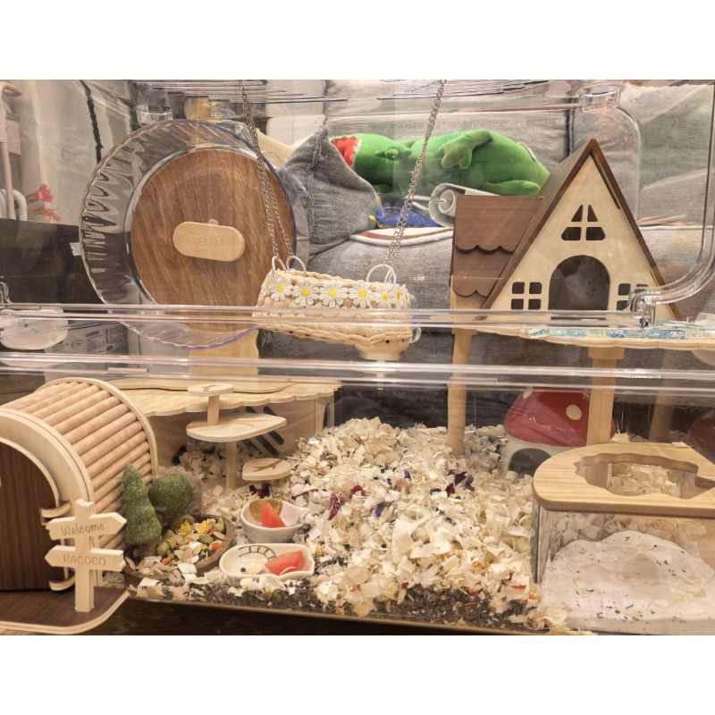 عجلة جري صامتة وشفافة للهامستر - مراجعة Hamster Cage Wheel وسعره