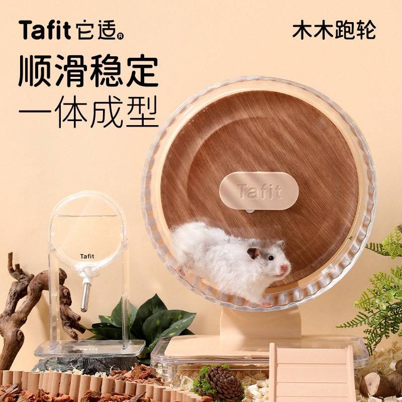 عجلة جري صامتة وشفافة للهامستر - مراجعة Hamster Cage Wheel وسعره