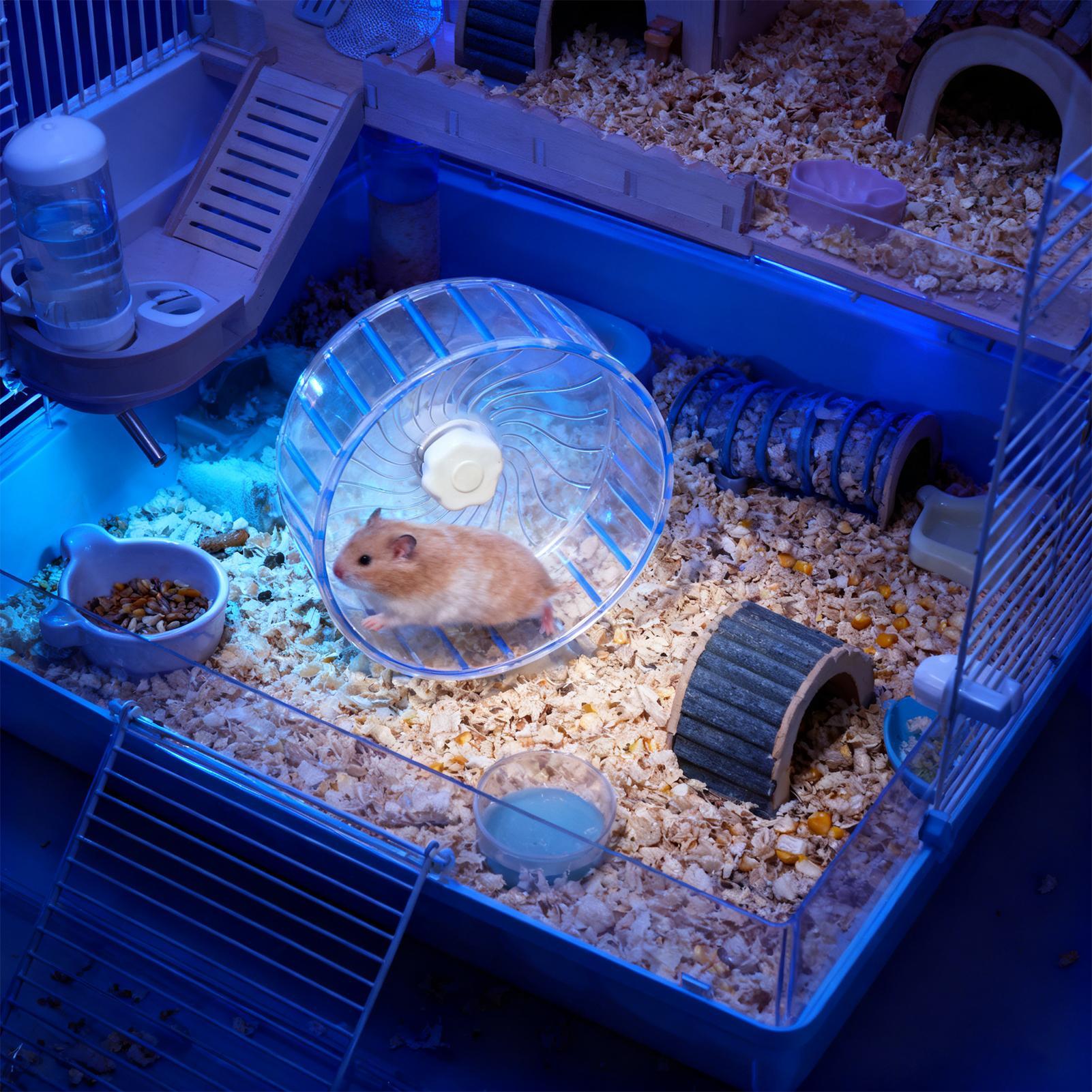 عجلة هامستر صامتة بمحامل مزدوج - مراجعة Hamster Cage Wheel وسعره
