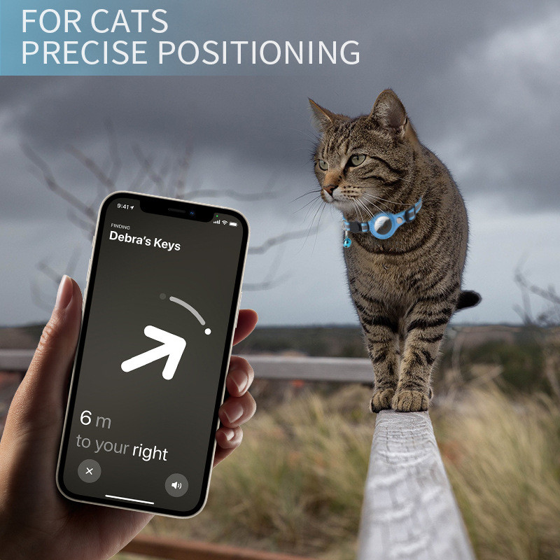 طوق Airtag للقطط مع حافظة واقي - مراجعة Pet Supplies Locations وسعره