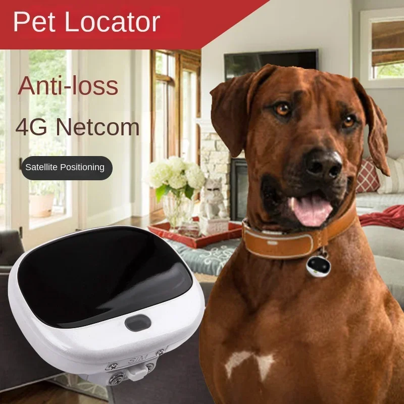 جهاز تتبع GPS صغير للكلاب بتقن - مراجعة Pet Supplies Locations وسعره